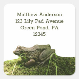 苔むした岩に生えるカエル差出人住所ラベル スクエアシール