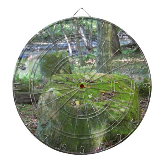 苔むした岩 ダーツボード (正面)
