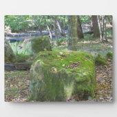 苔むした岩 フォトプラーク (正面)