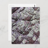 苔むした岩 ポストカード (正面/裏面)