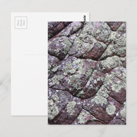 苔むした岩 ポストカード (正面/裏面)