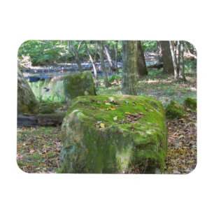 苔むした岩 マグネット