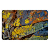 苔むした岩 マグネット (横)