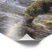 苔むした木に生えたフクロウ フォトプリント            (角)