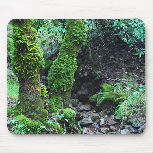 苔むした木 マウスパッド (正面)