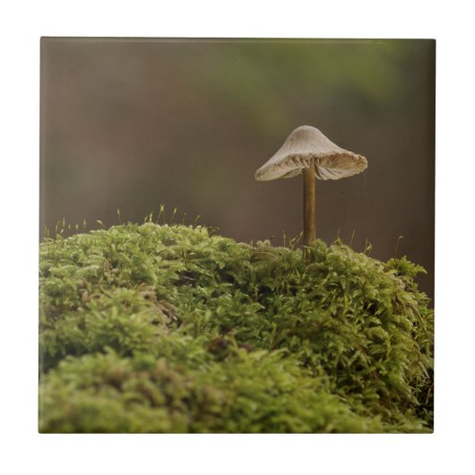 苔むした森の静かなキノコのアートプリント タイル (正面)