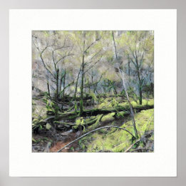 苔むした森 ポスター