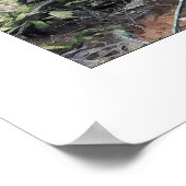 苔むした森 ポスター (角)