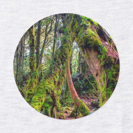 苔むした森 ラベル (デザイン1)