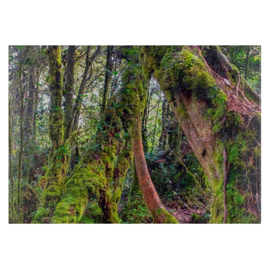 苔むす森 カッティングボード (正面)