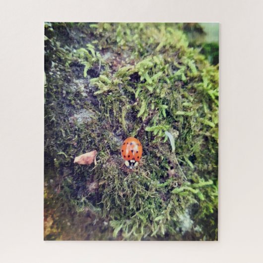 苔上のてんとう虫の写真 ジグソーパズル (縦)