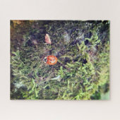 苔上のてんとう虫の写真 ジグソーパズル (横)