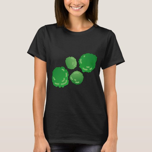 苔玉 Tシャツ (正面)