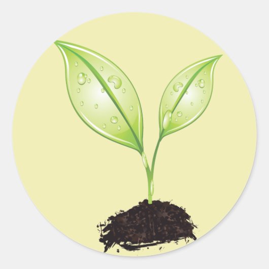 苗のグリーンアース葉とルートシード ラウンドシール (正面)