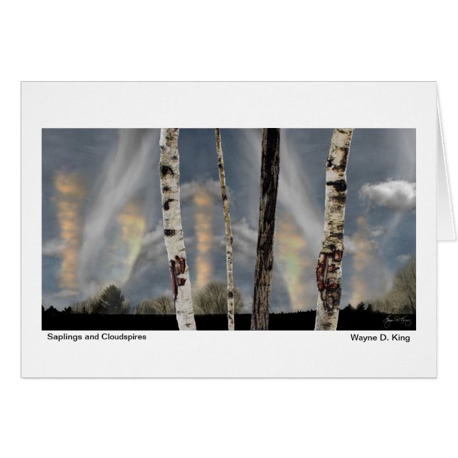 苗木およびCloudspires (正面横)