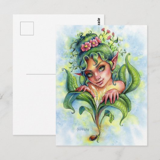 苗葉書 ポストカード (正面/裏面)