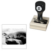 若いアシカ ラバースタンプ (押印)