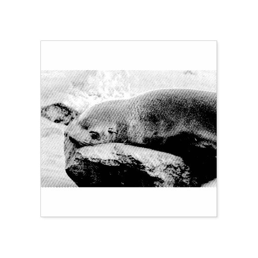 若いアシカ ラバースタンプ (インプリント)