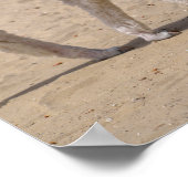 若いアルパカ二頭 ポスター (角)