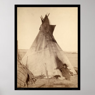 若いオグララインディアンTipi SD 1891 ポスター