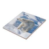 若いオスのホッキョクグマ タイル (側面)