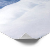 若いオスのホッキョクグマ ポスター (角)