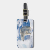 若いオスのホッキョクグマ ラゲッジタグ (正面縦)