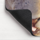 若いオスのポートレートが横たわっているクローズアップ マウスパッド (コーナー)