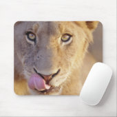 若いオスのポートレートが横たわっているクローズアップ マウスパッド (マウス)