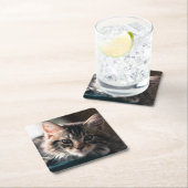 若いオスの虎猫猫2 スクエアペーパーコースター (インサイチュ)