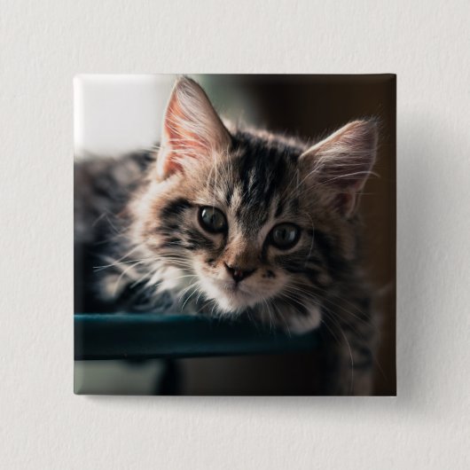若いオスの虎猫猫2 缶バッジ (正面)