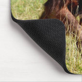 若いオランウータン歩くオン草 マウスパッド (コーナー)