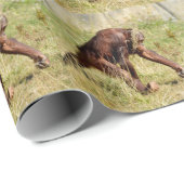 若いオランウータン歩くオン草 ラッピングペーパー (ロールコーナー)