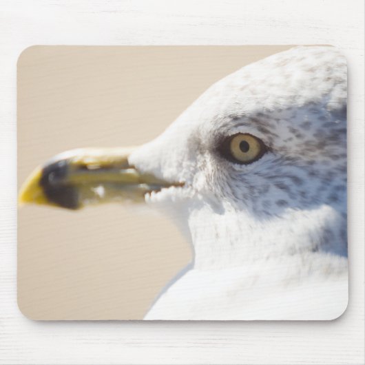 若いカモメ マウスパッド (正面)