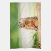 若いグラウンドホッグ キッチンタオル (縦)