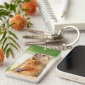 若いグラウンドホッグ キーホルダー (正面右)