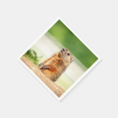 若いグラウンドホッグ スタンダードカクテルナプキン (角)