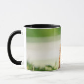 若いグラウンドホッグ マグカップ (左)