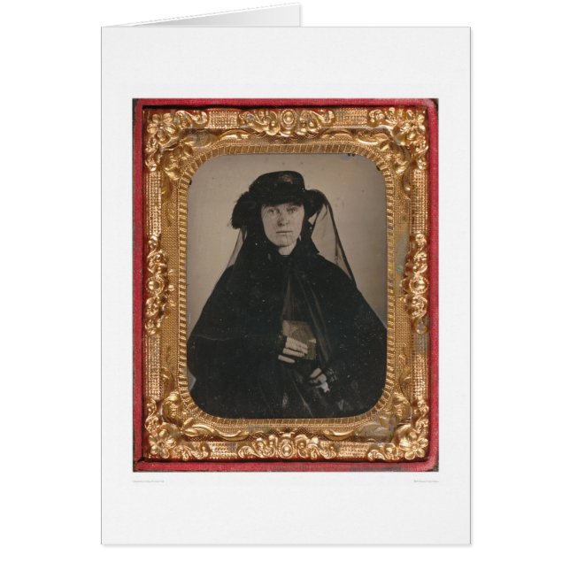 若いゴールドラッシュの寡婦(399889) (正面)