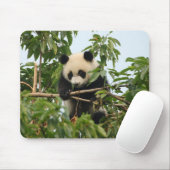 若いジャイアントパンダのmousepad マウスパッド (マウス)
