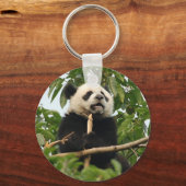 若いジャイアントパンダ – キーチェーン (正面)