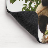 若いジャイアントパンダ マウスパッド (コーナー)