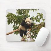 若いジャイアントパンダ マウスパッド (マウス)