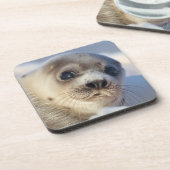 若いタテゴトアザラシ コースター (左側)