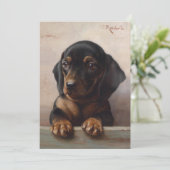 若いダシュント | カール・ライチェルト (スタンド正面)