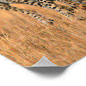 若いチエタランニングス ポスター (角)