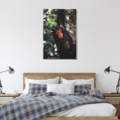 若いチンパンジー キャンバスプリント (インサイチュ (寝室))