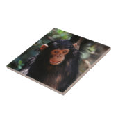 若いチンパンジー タイル (側面)