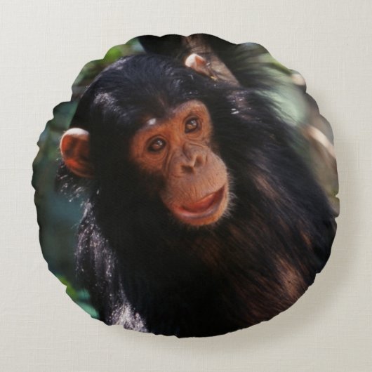若いチンパンジー ラウンドクッション (正面)