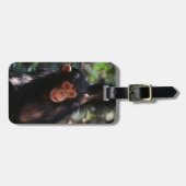 若いチンパンジー ラゲッジタグ (正面横)